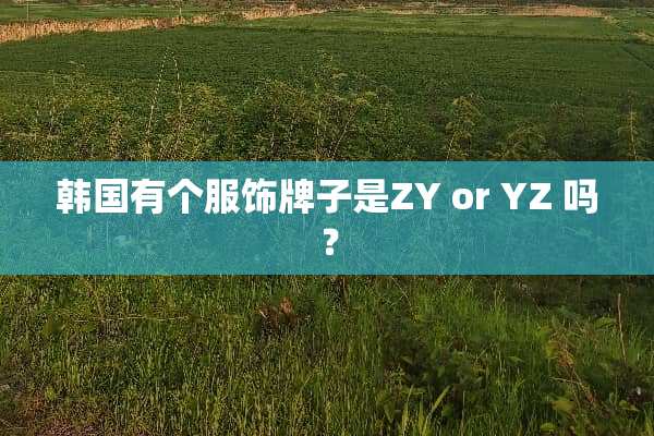 韩国有个服饰牌子是ZY or YZ 吗？