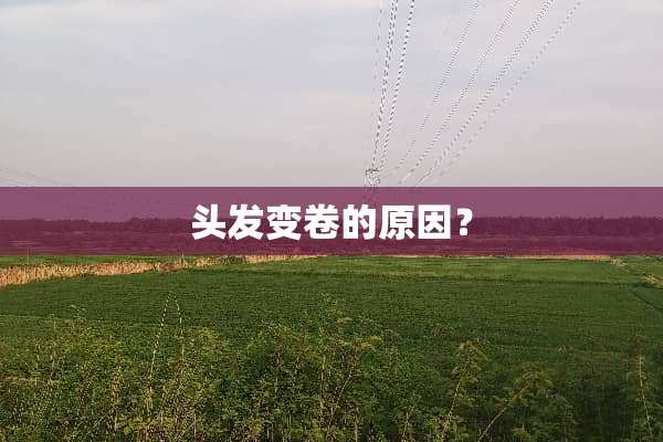 头发变卷的原因？