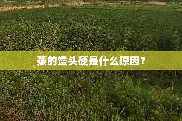 蒸的馒头硬是什么原因？