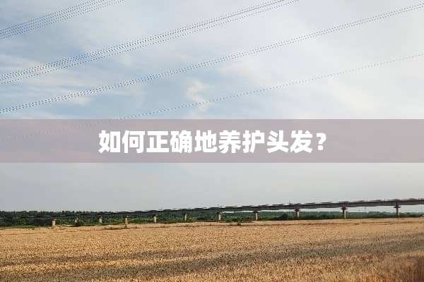 如何正确地养护头发？