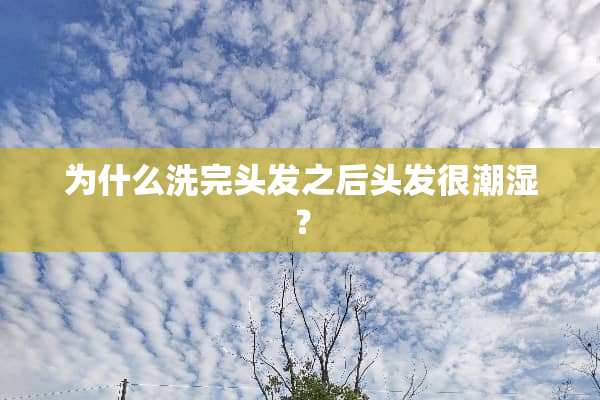 为什么洗完头发之后头发很潮湿？
