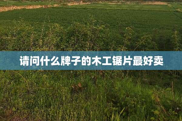 请问什么牌子的木工锯片最好卖