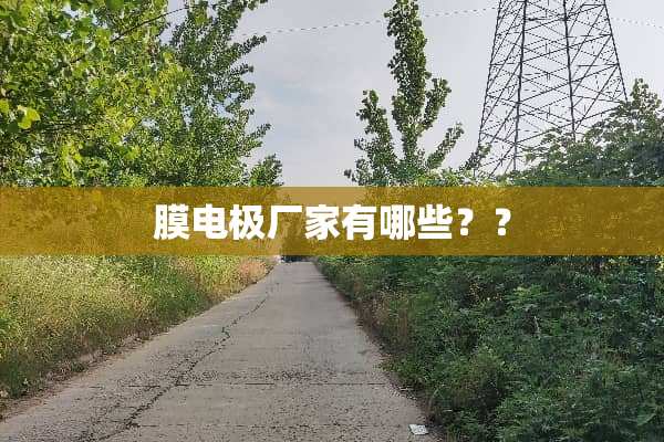 膜电极厂家有哪些？？