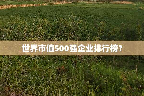 世界市值500强企业排行榜？