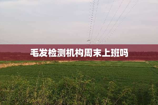 毛发检测机构周末上班吗