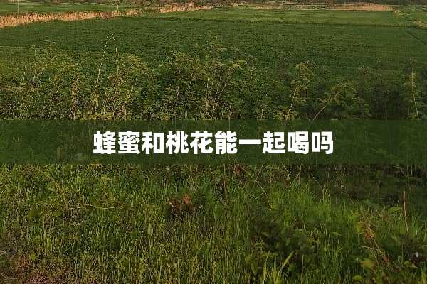 蜂蜜和桃花能一起喝吗