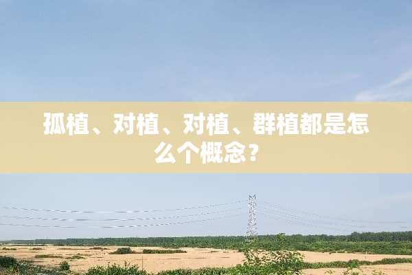 孤植、对植、对植、群植都是怎么个概念？