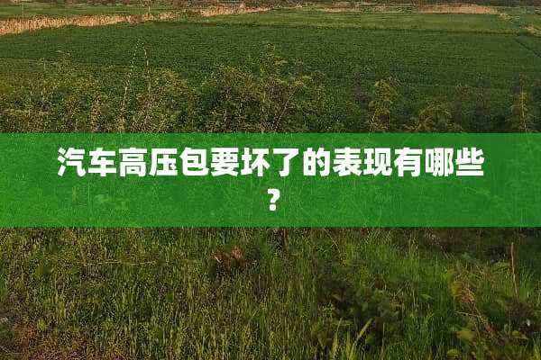汽车高压包要坏了的表现有哪些？