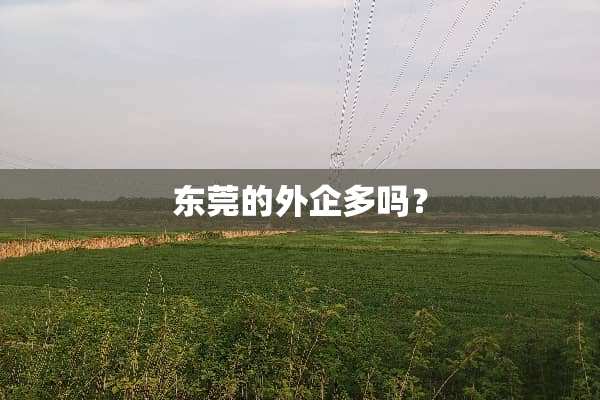 东莞的外企多吗？