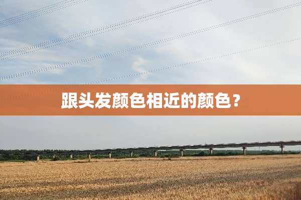跟头发颜色相近的颜色？