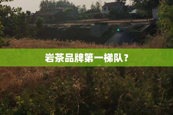 岩茶品牌第一梯队？