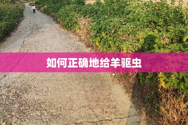 如何正确地给羊驱虫
