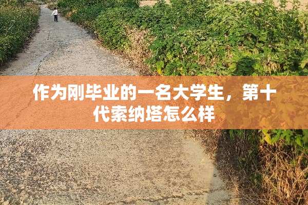 作为刚毕业的一名大学生，第十代索纳塔怎么样