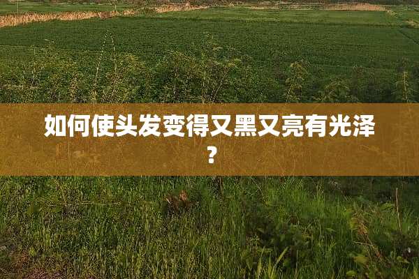 如何使头发变得又黑又亮有光泽？