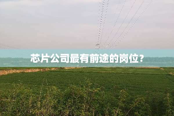 芯片公司最有前途的岗位？