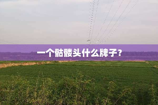 一个骷髅头什么牌子？
