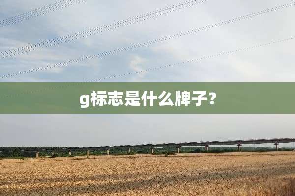 g标志是什么牌子？