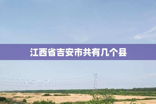 江西省吉安市共有几个县
