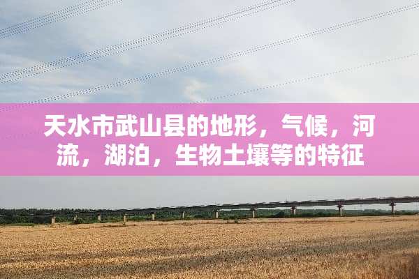 天水市武山县的地形，气候，河流，湖泊，生物土壤等的特征