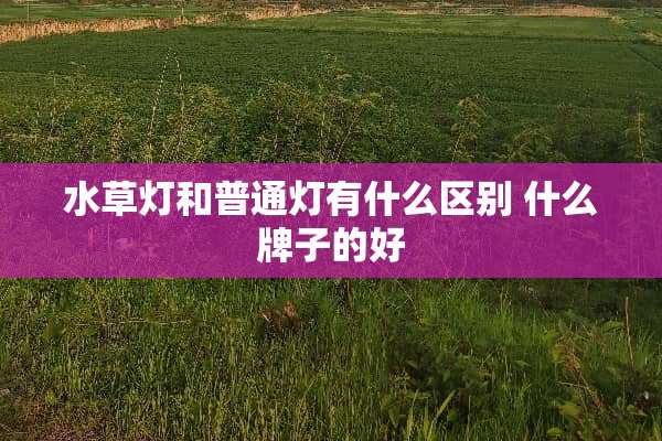 水草灯和普通灯有什么区别 什么牌子的好