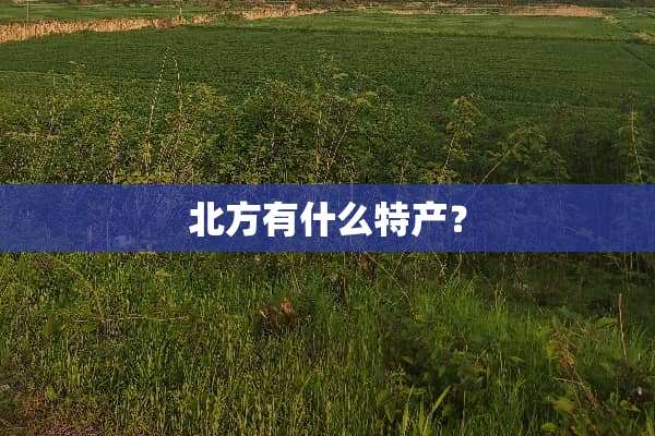 北方有什么特产？
