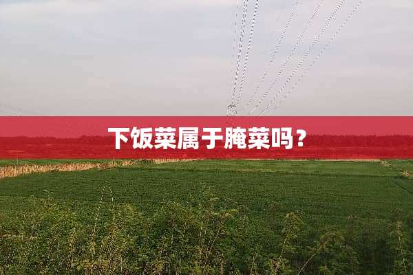 下饭菜属于腌菜吗？