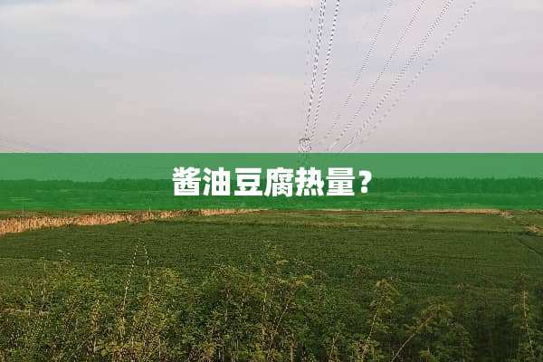 酱油豆腐热量？