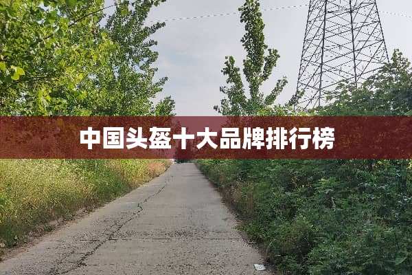 中国头盔十大品牌排行榜