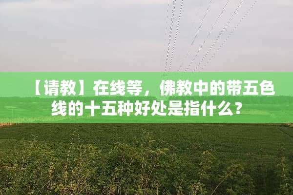 【请教】在线等，佛教中的带五色线的十五种好处是指什么？