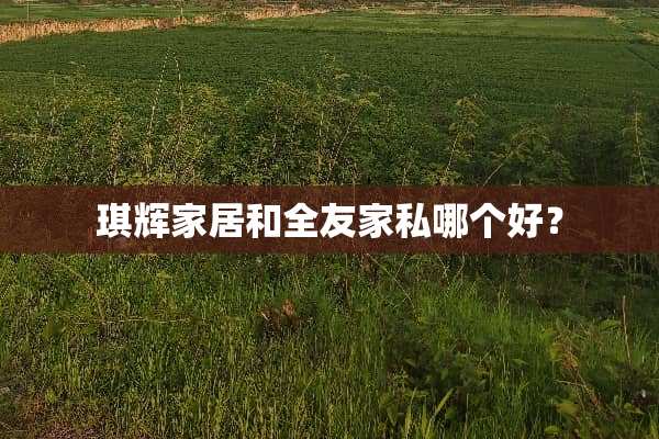 琪辉家居和全友家私哪个好？