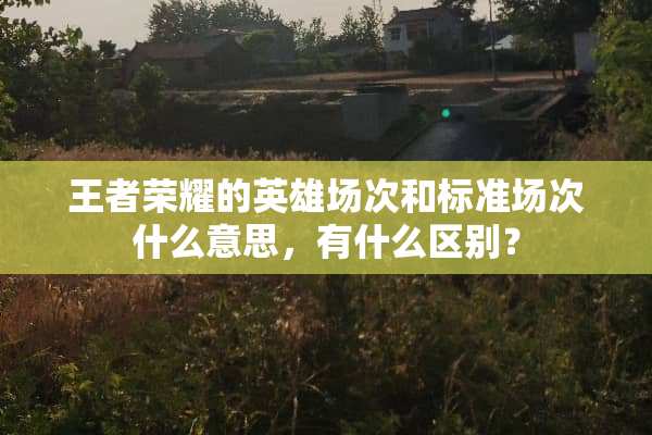 王者荣耀的英雄场次和标准场次什么意思，有什么区别？