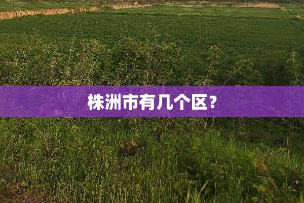 株洲市有几个区？