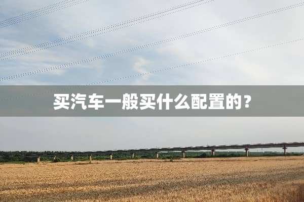 买汽车一般买什么配置的？