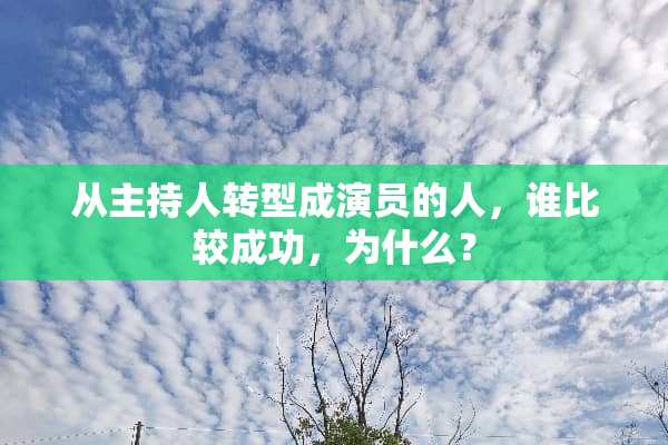 从主持人转型成演员的人，谁比较成功，为什么？