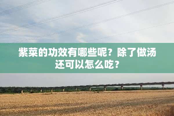 紫菜的功效有哪些呢？除了做汤还可以怎么吃？