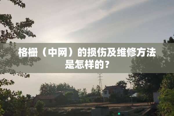 格栅（中网）的损伤及维修方法是怎样的？