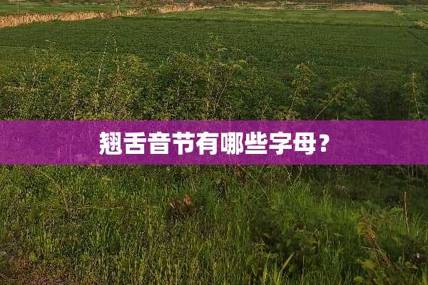 翘舌音节有哪些字母？