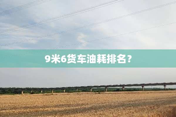 9米6货车油耗排名？