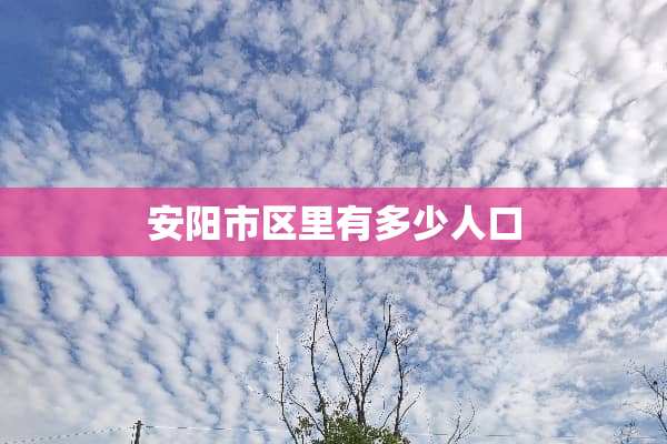 安阳市区里有多少人口