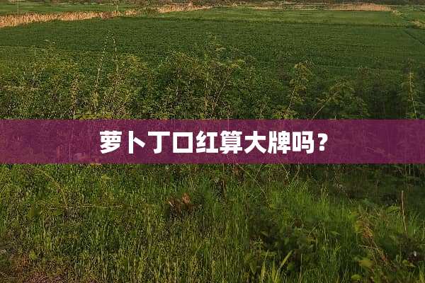 萝卜丁口红算大牌吗？