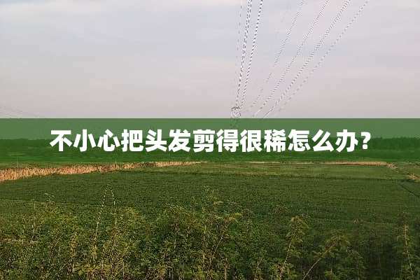 不小心把头发剪得很稀怎么办？