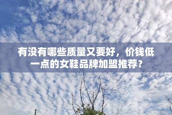 有没有哪些质量又要好，价钱低一点的女鞋品牌加盟推荐？