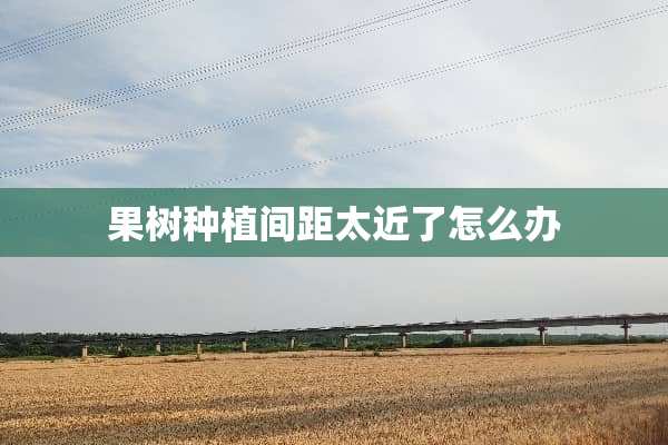 果树种植间距太近了怎么办