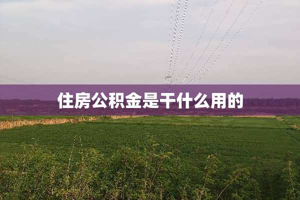 住房公积金是干什么用的