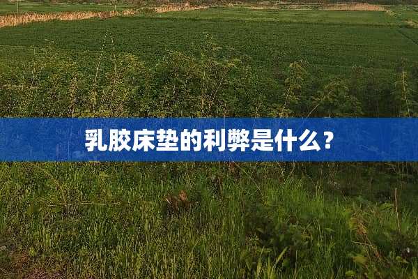 *胶床垫的利弊是什么？
