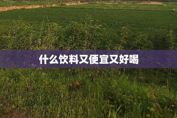 什么饮料又便宜又好喝
