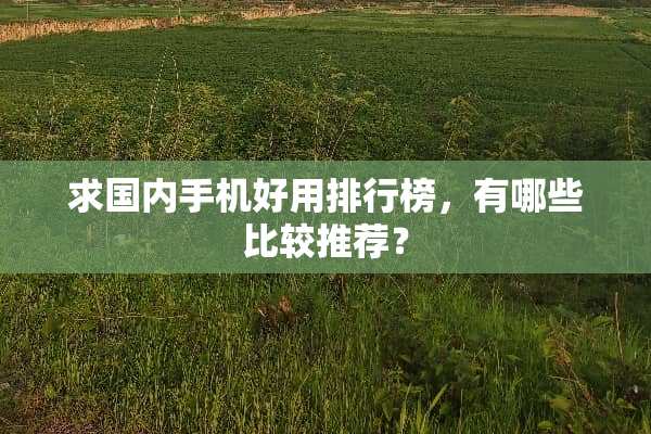 求国内手机好用排行榜，有哪些比较推荐？