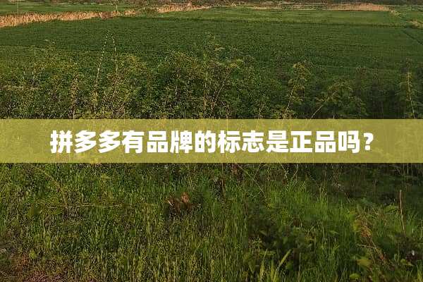 拼多多有品牌的标志是正品吗？