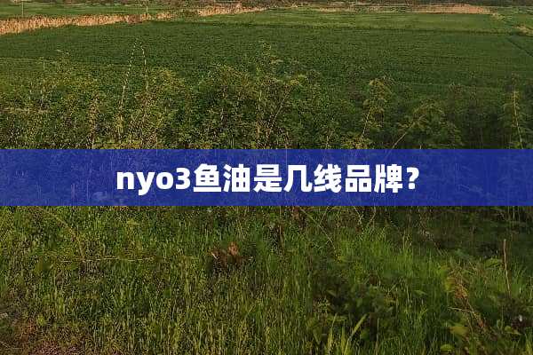 nyo3鱼油是几线品牌？