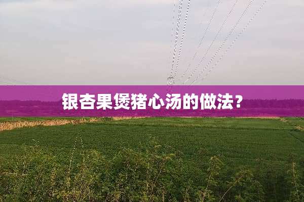 银杏果煲猪心汤的做法？